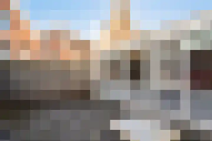 Oostdam 6 Steenbergen thumbnail 31