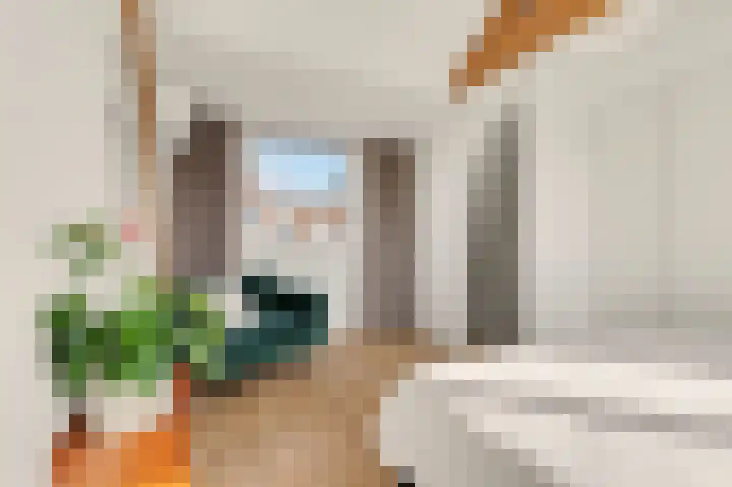 Oostdijk 106 Oud-Beijerland thumbnail 30
