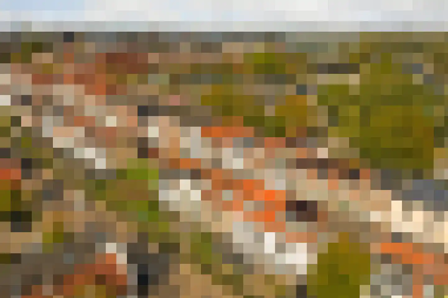 Oostdijk 106 Oud-Beijerland thumbnail 40