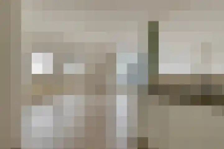 Oostdijk 12 C Driehuizen thumbnail 20