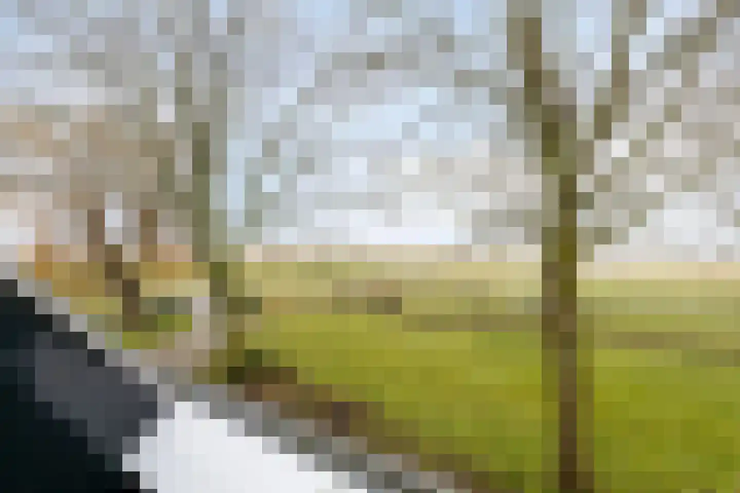 Oostdijk 12 C Driehuizen thumbnail 22