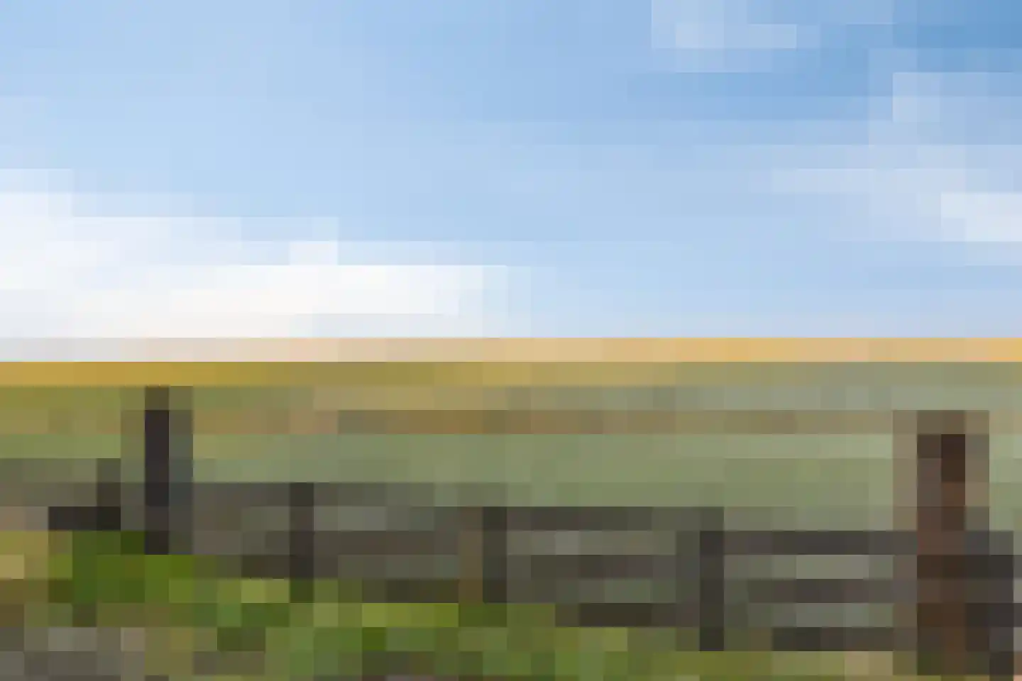 Oostdijk 12 C Driehuizen thumbnail 31