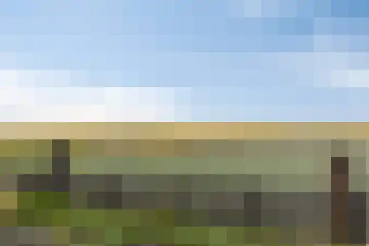 Oostdijk 12 C Driehuizen thumbnail 31