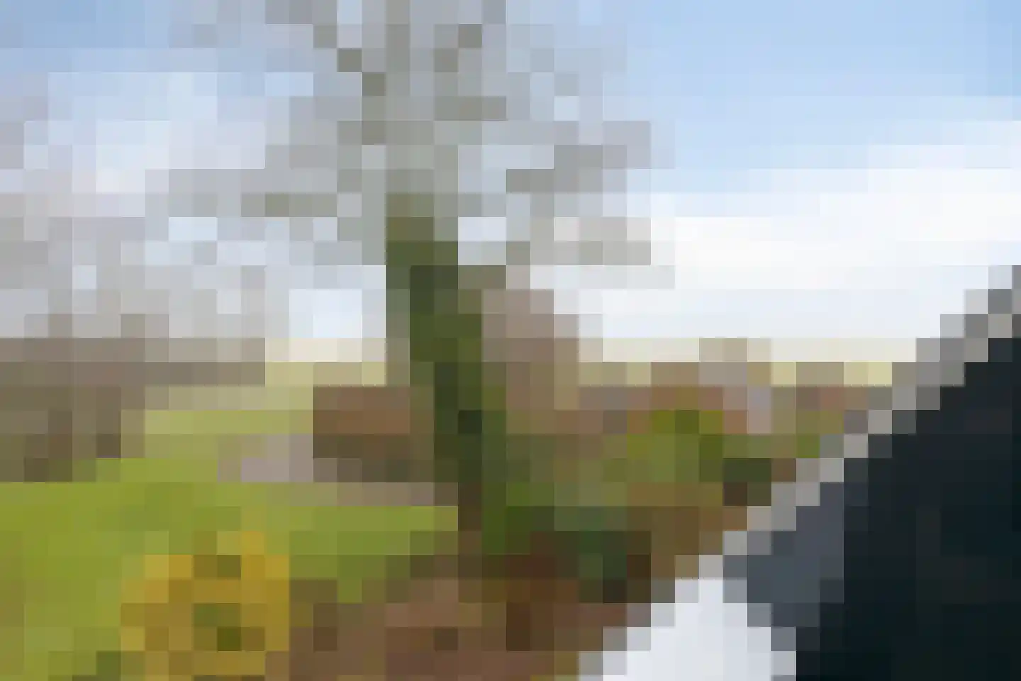 Oostdijk 12 C Driehuizen thumbnail 6