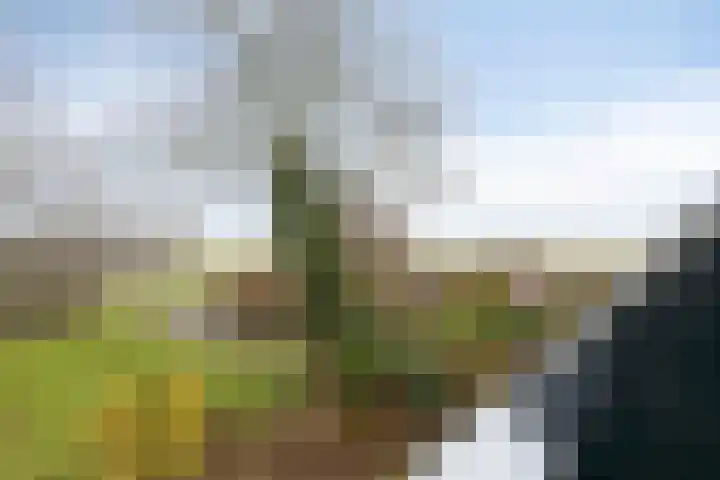 Oostdijk 12 C Driehuizen thumbnail 6