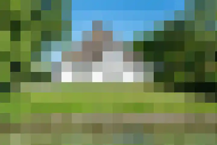 Oostdijk 12 Driehuizen