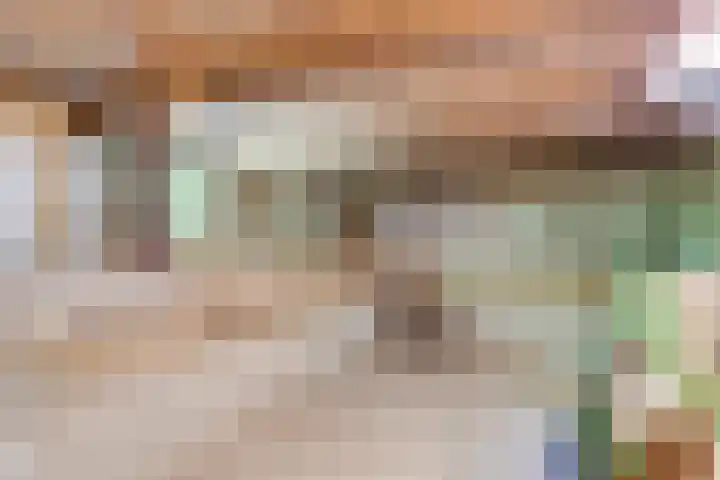 Oostdijk 12 Driehuizen thumbnail 21