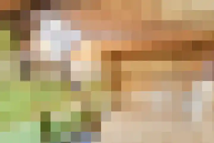 Oostdijk 12 Driehuizen thumbnail 22