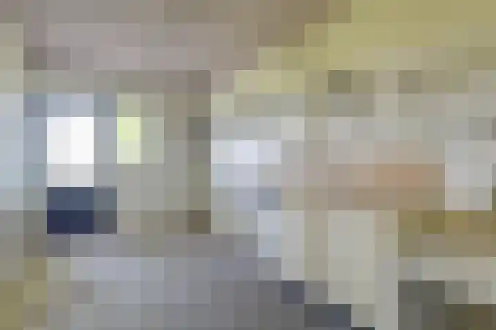 Oostdijk 12 Driehuizen thumbnail 23