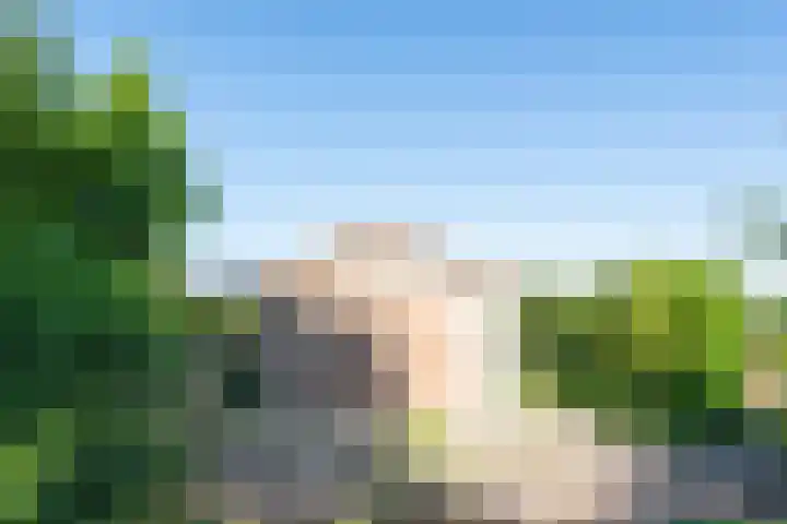 Oostdijk 12 Driehuizen thumbnail 50