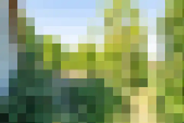 Oostdijk 12 Driehuizen thumbnail 51