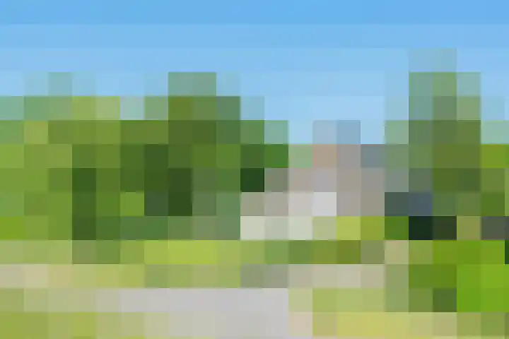 Oostdijk 12 Driehuizen thumbnail 58