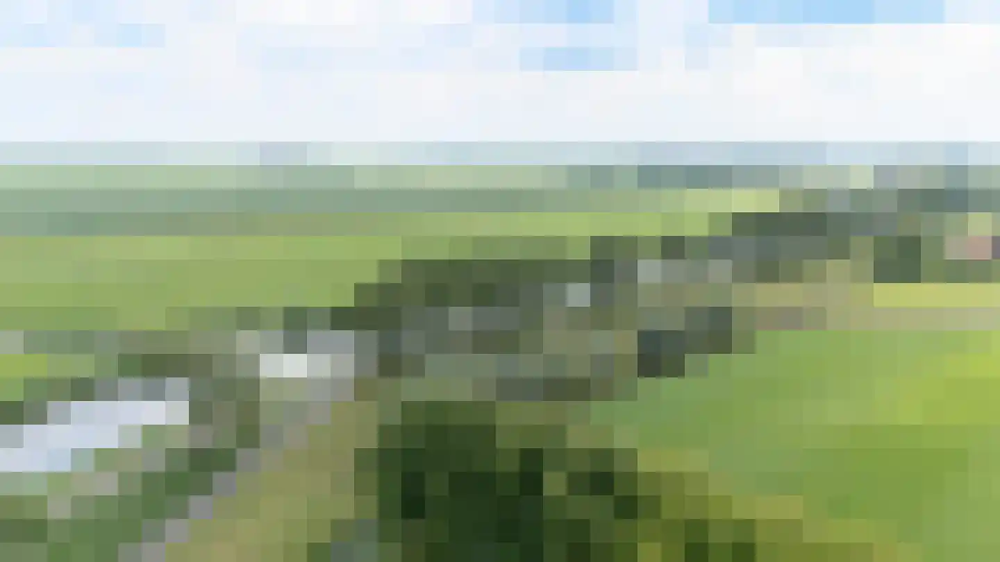Oostdijk 13 f Zuidoostbeemster thumbnail 57