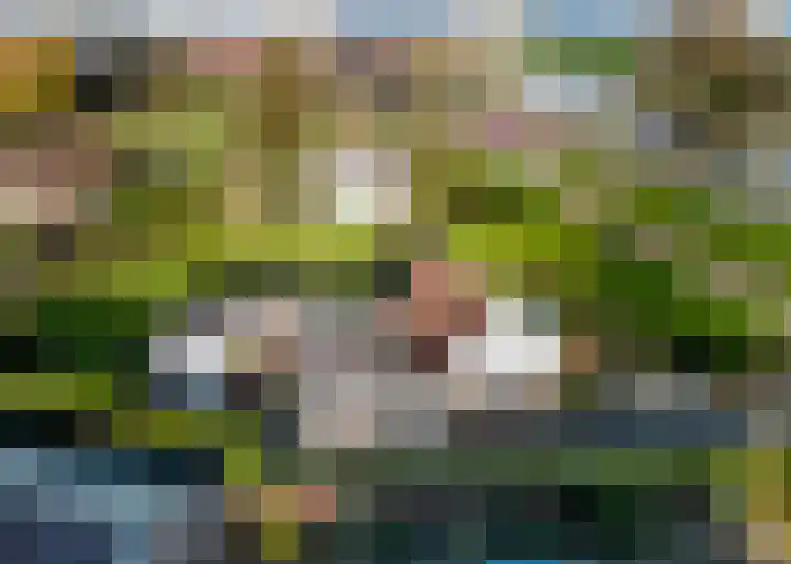 Oostdijk 13 Heerhugowaard thumbnail 27