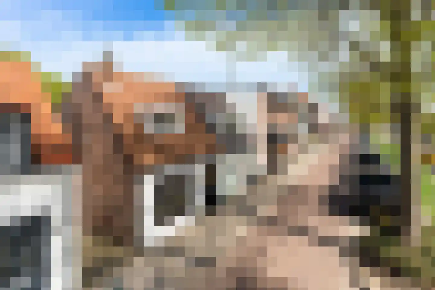 Oostdijk 135 Oud-Beijerland thumbnail 4