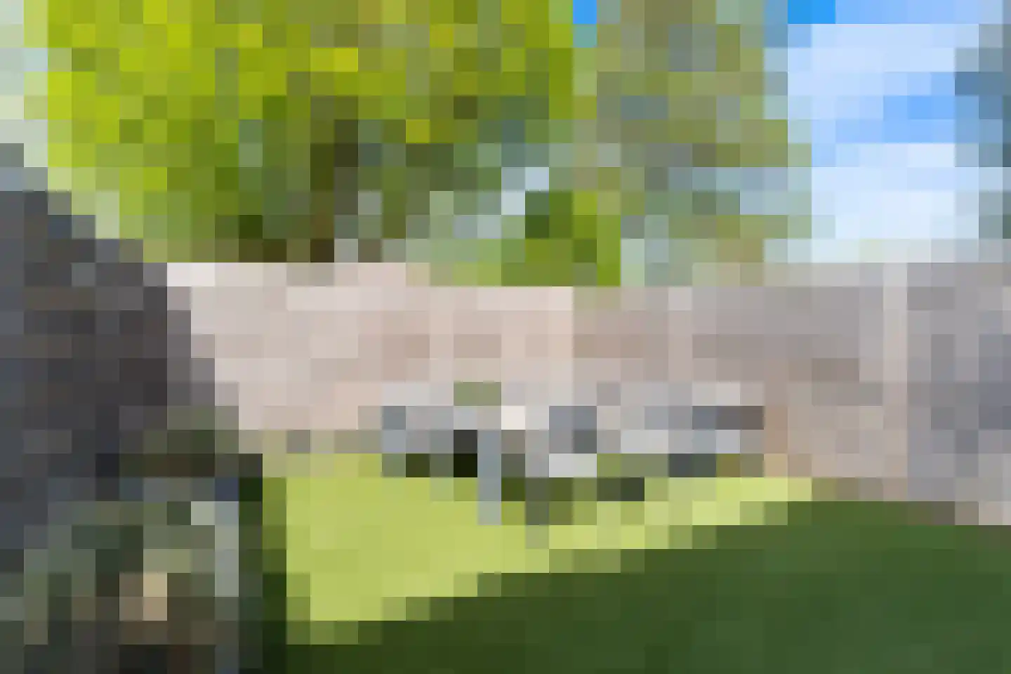 Oostdijk 135 Oud-Beijerland thumbnail 41