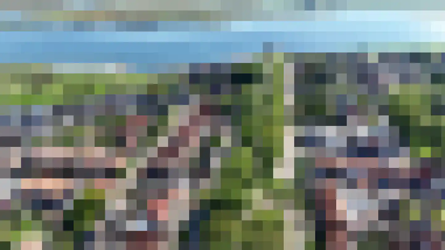 Oostdijk 14 Sint Philipsland thumbnail 6