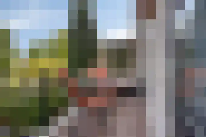 Oostdijk 153 Oud-Beijerland thumbnail 15