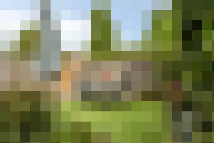 Oostdijk 153 Oud-Beijerland thumbnail 16