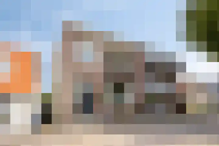Oostdijk 153 Oud-Beijerland thumbnail 39