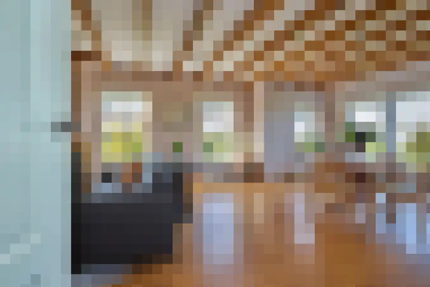 Oostdijk 16 Driehuizen thumbnail 23