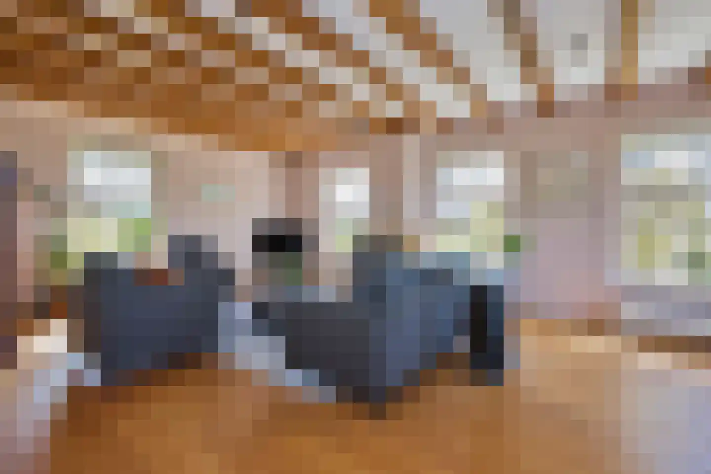 Oostdijk 16 Driehuizen thumbnail 24