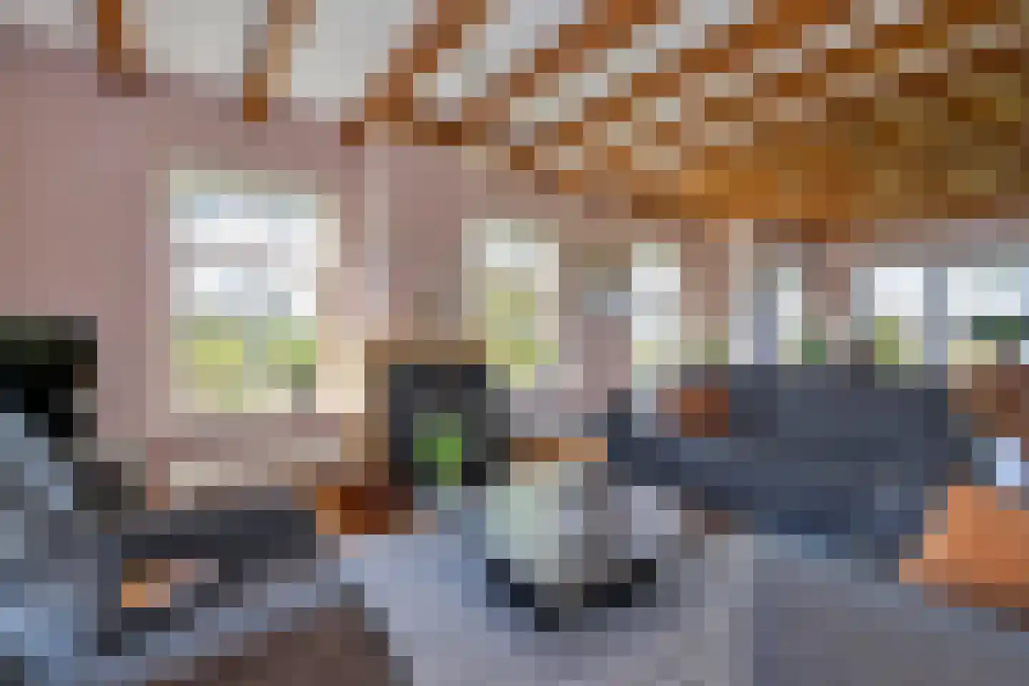 Oostdijk 16 Driehuizen thumbnail 27