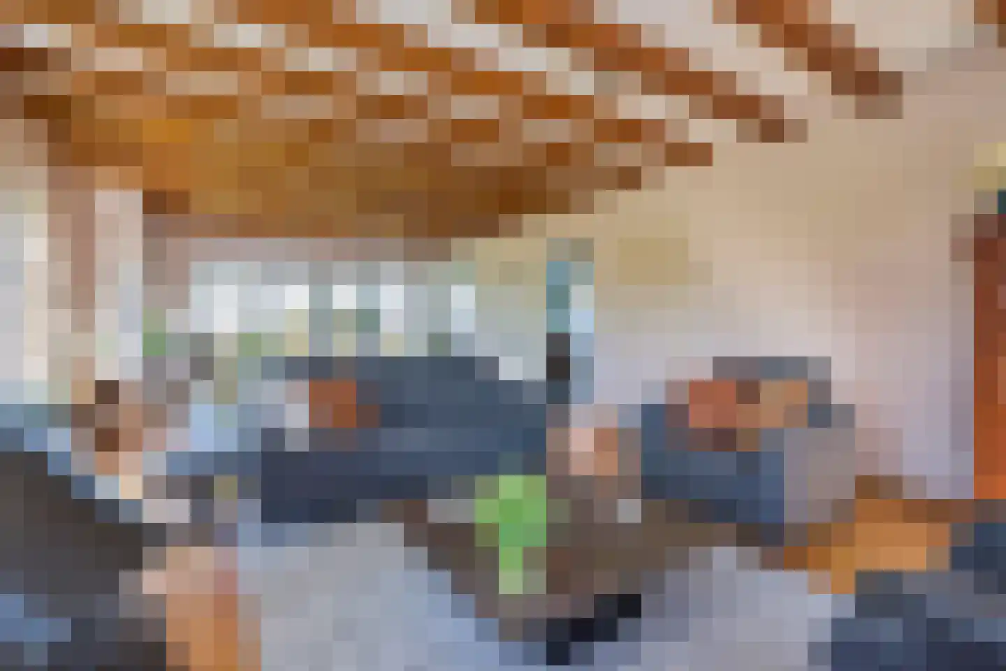 Oostdijk 16 Driehuizen thumbnail 28