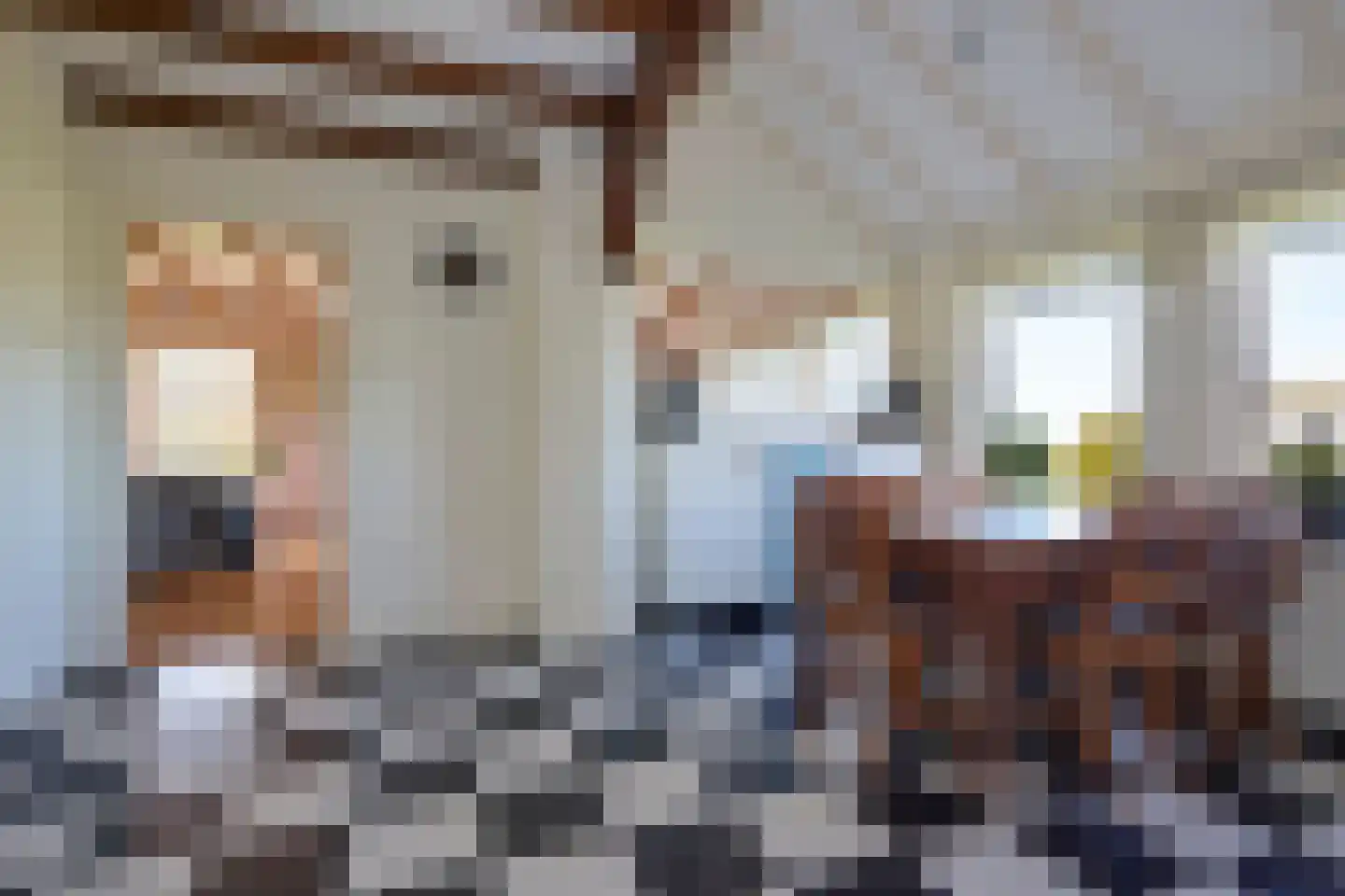 Oostdijk 16 Driehuizen thumbnail 31