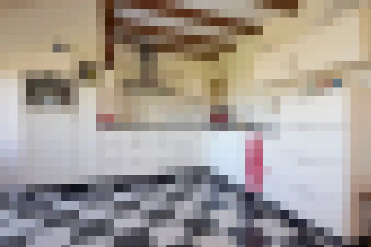 Oostdijk 16 Driehuizen thumbnail 33
