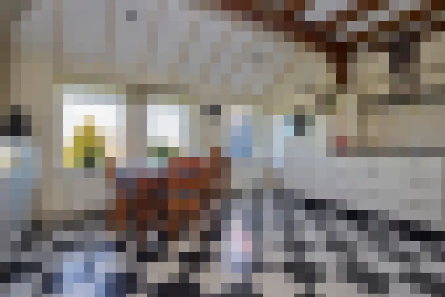 Oostdijk 16 Driehuizen thumbnail 34