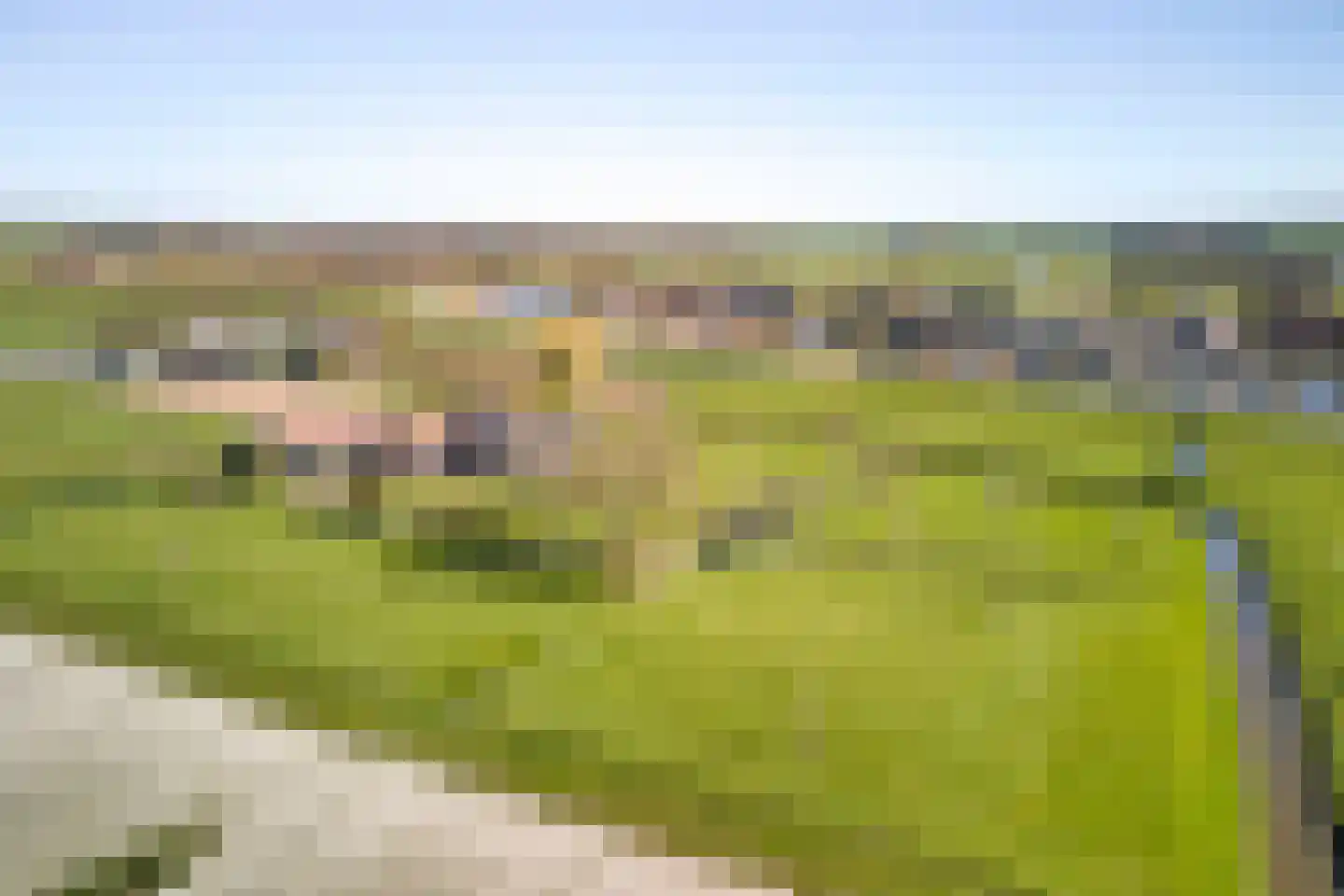 Oostdijk 16 Driehuizen thumbnail 5