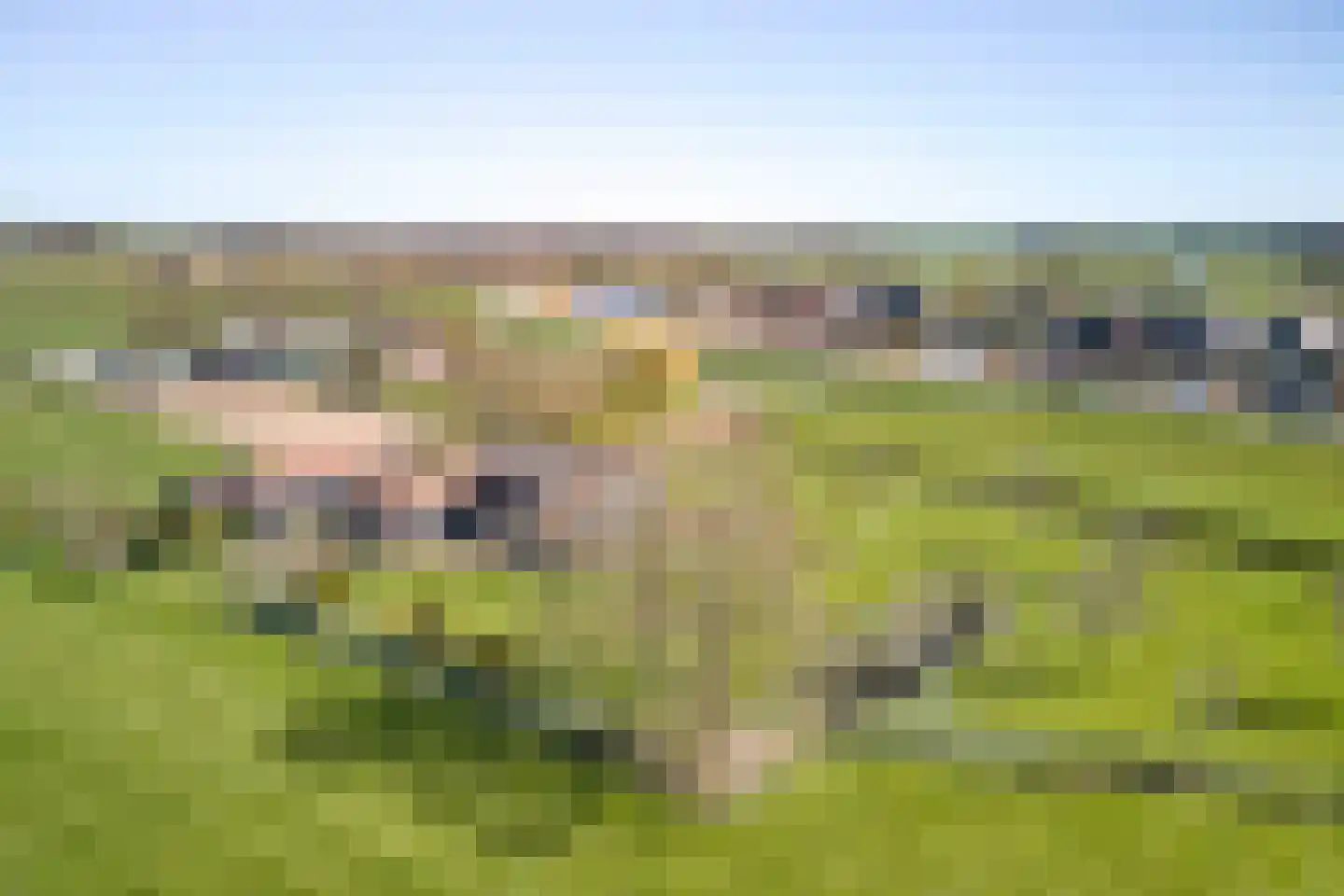 Oostdijk 16 Driehuizen thumbnail 6