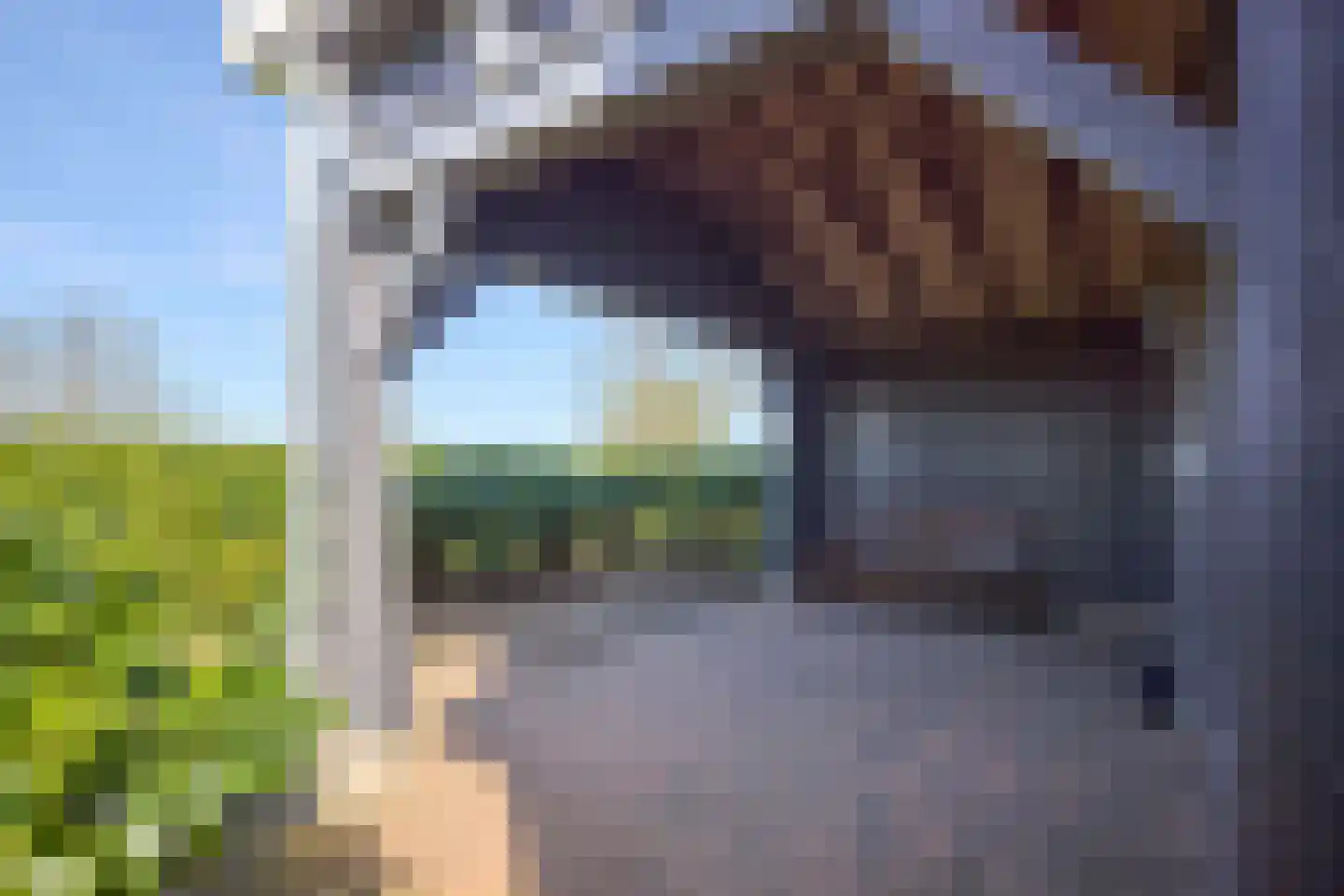Oostdijk 16 Driehuizen thumbnail 64