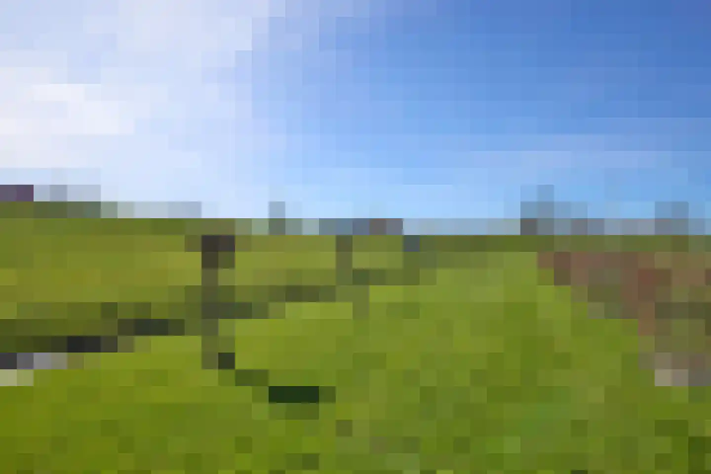 Oostdijk 16 Driehuizen thumbnail 75