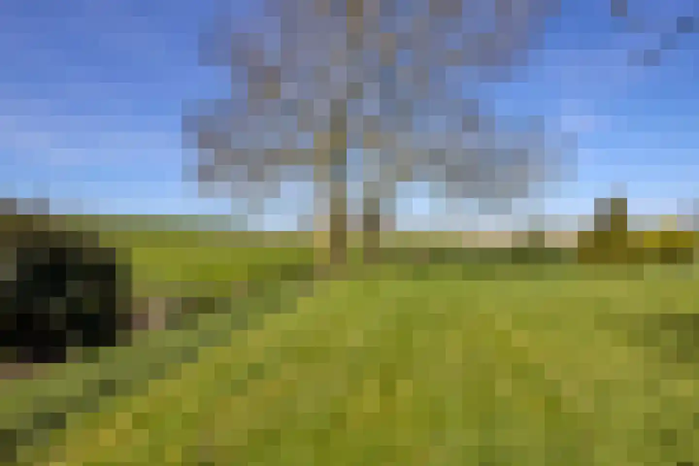 Oostdijk 16 Driehuizen thumbnail 77