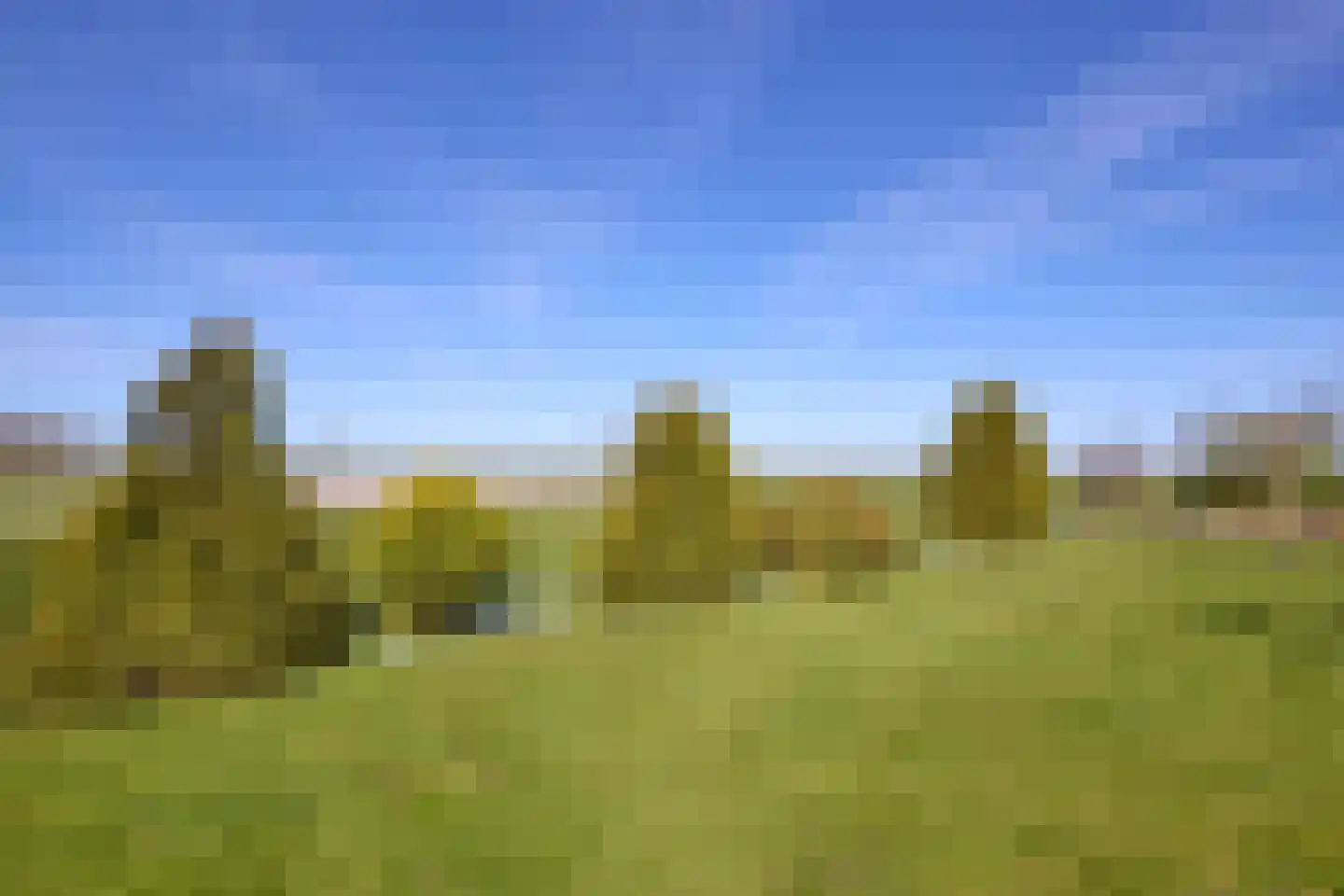 Oostdijk 16 Driehuizen thumbnail 78