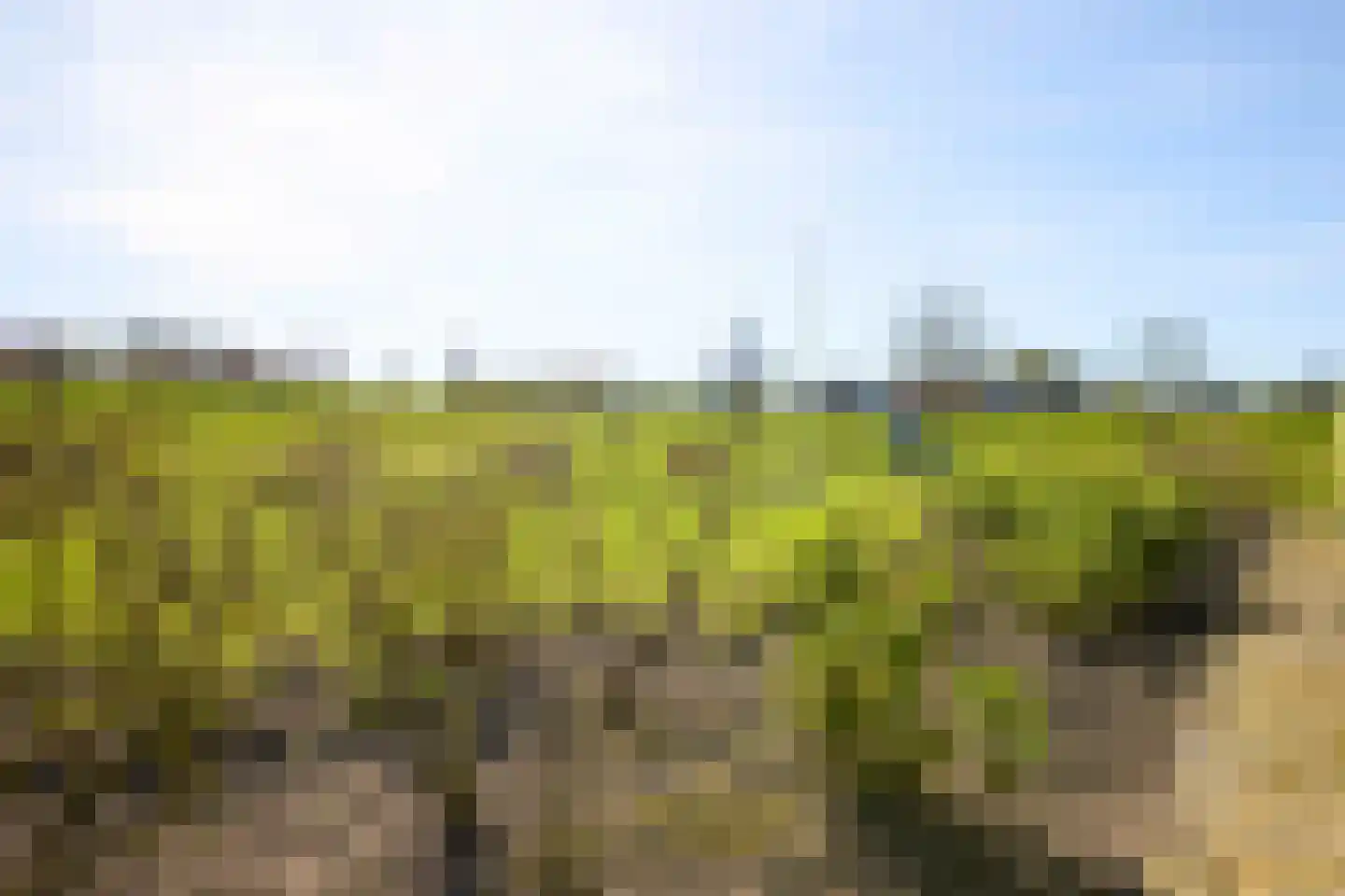 Oostdijk 16 Driehuizen thumbnail 80