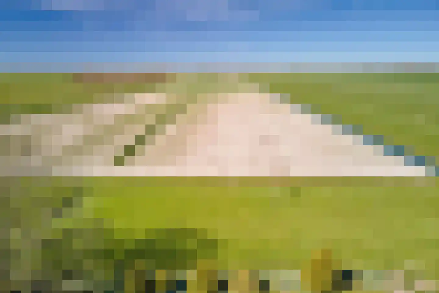 Oostdijk 16 Driehuizen thumbnail 82