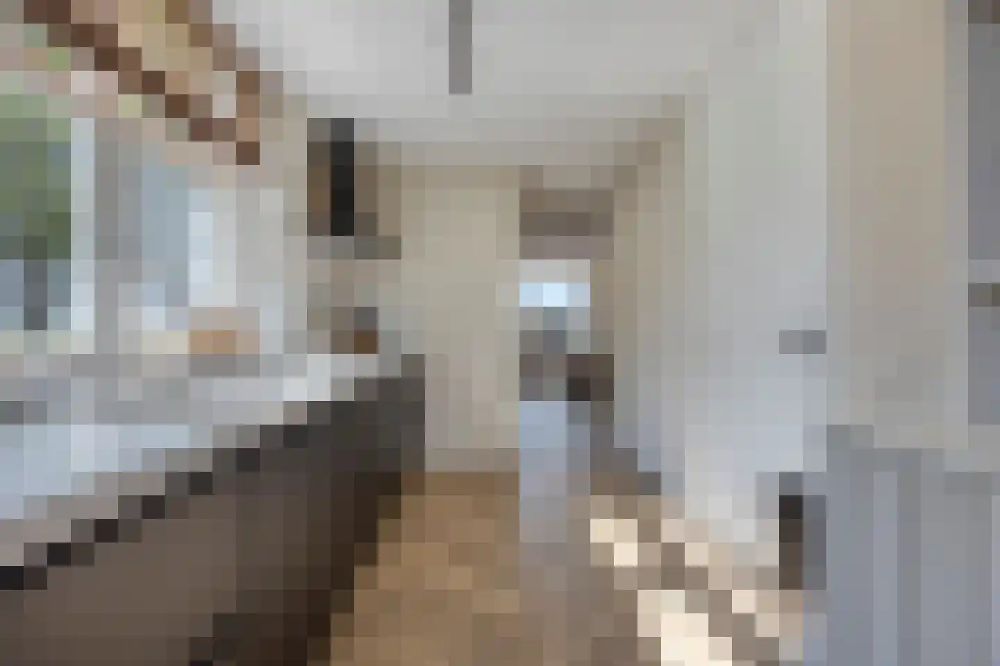 Oostdijk 17 c Oude-Tonge thumbnail 15