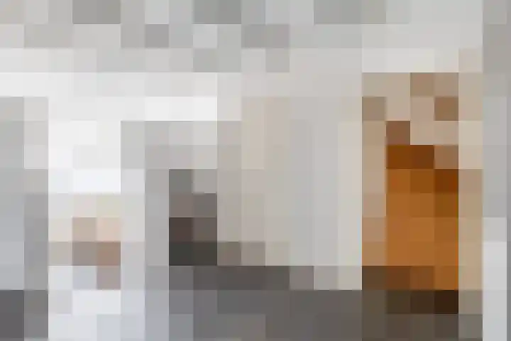 Oostdijk 19 Sommelsdijk thumbnail 12