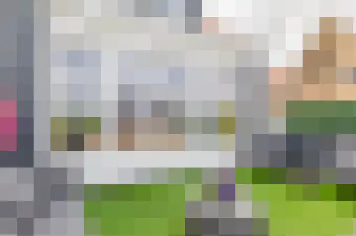 Oostdijk 19 Sommelsdijk thumbnail 16