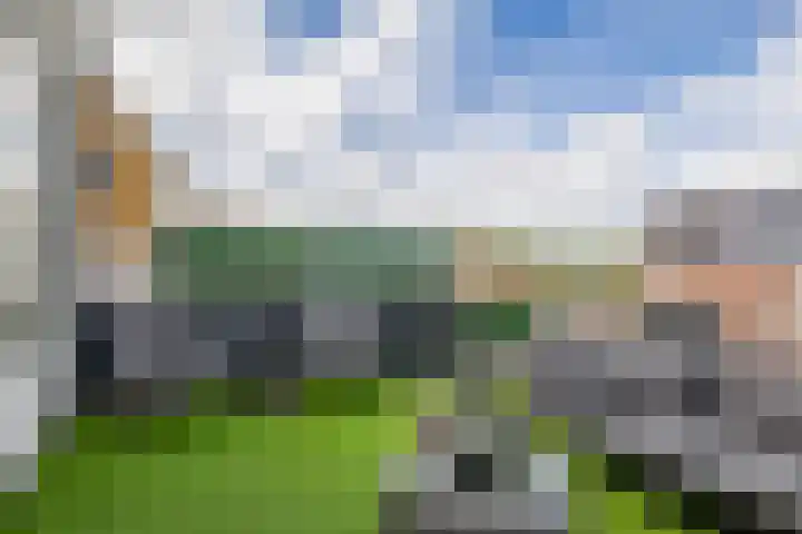 Oostdijk 19 Sommelsdijk thumbnail 17