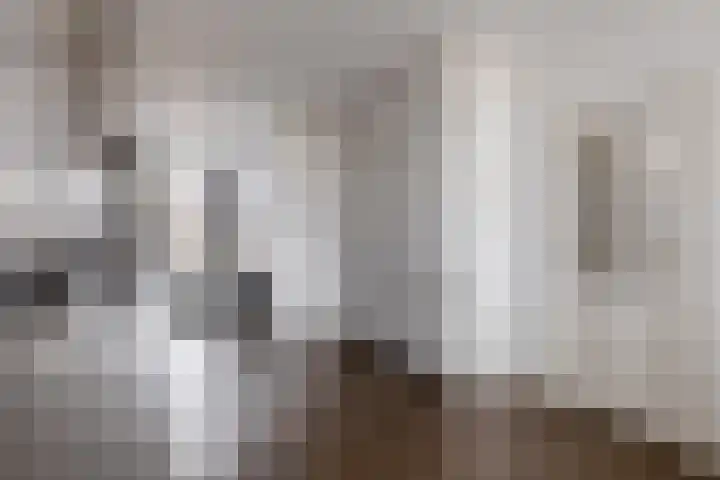 Oostdijk 19 Sommelsdijk thumbnail 19