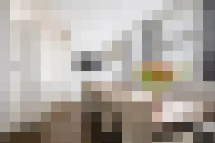 Oostdijk 19 Sommelsdijk thumbnail 22