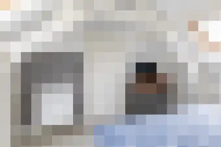 Oostdijk 19 Sommelsdijk thumbnail 36
