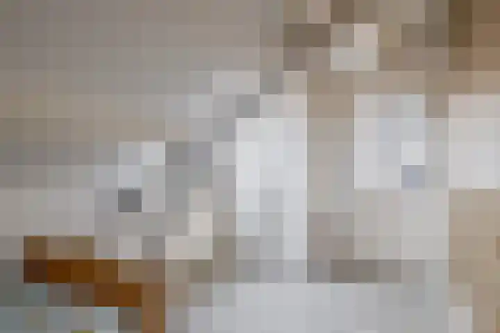 Oostdijk 19 Sommelsdijk thumbnail 38