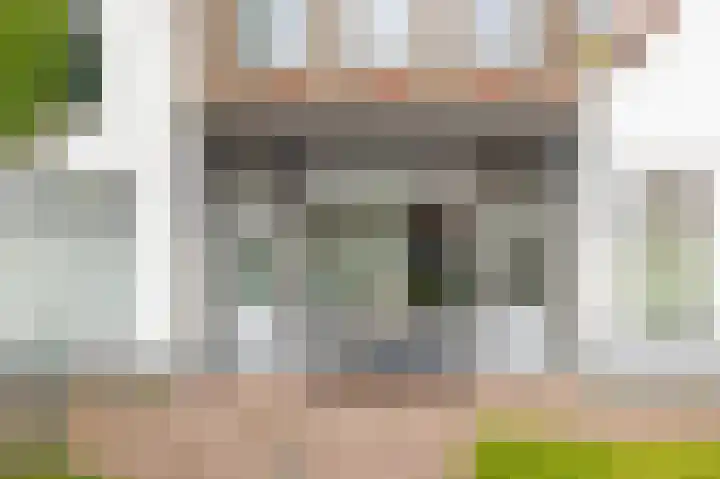 Oostdijk 19 Sommelsdijk thumbnail 4