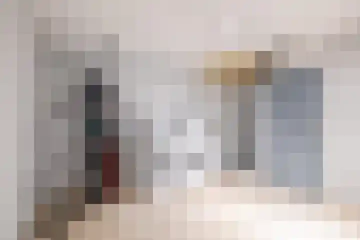 Oostdijk 19 Sommelsdijk thumbnail 42