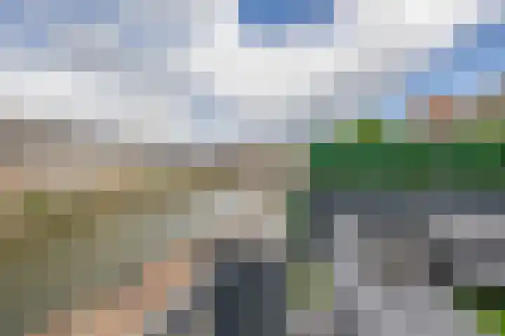Oostdijk 19 Sommelsdijk thumbnail 48